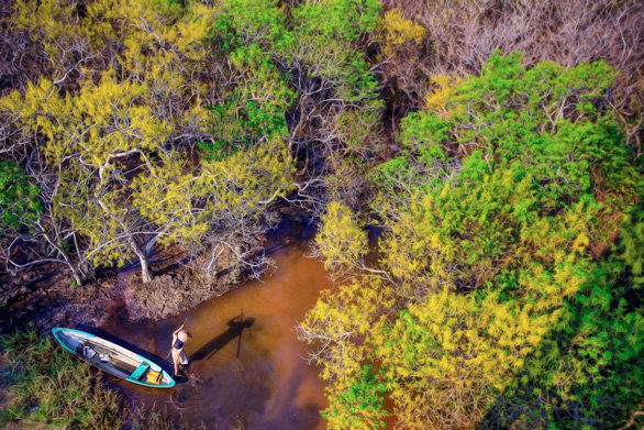 Điểm du lịch mới nổi ở Huế: Rừng Rú Chá qua góc ảnh flycam