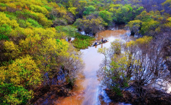 Điểm du lịch mới nổi ở Huế: Rừng Rú Chá qua góc ảnh flycam