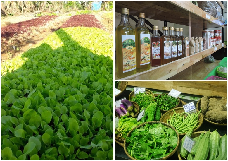 top 10 cua hang thuc pham sach o hue ma chi em nen luu lai 6138 1