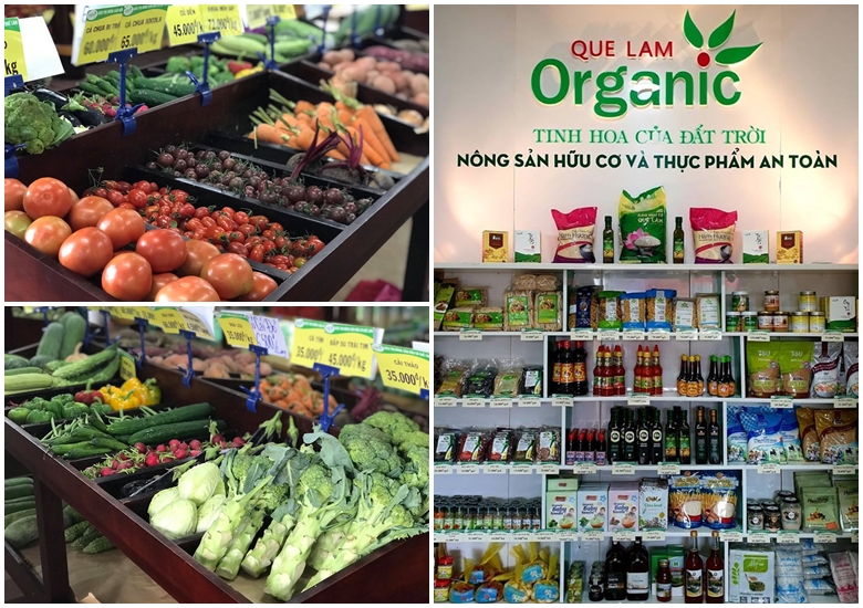 top 10 cua hang thuc pham sach o hue ma chi em nen luu lai 6138 2