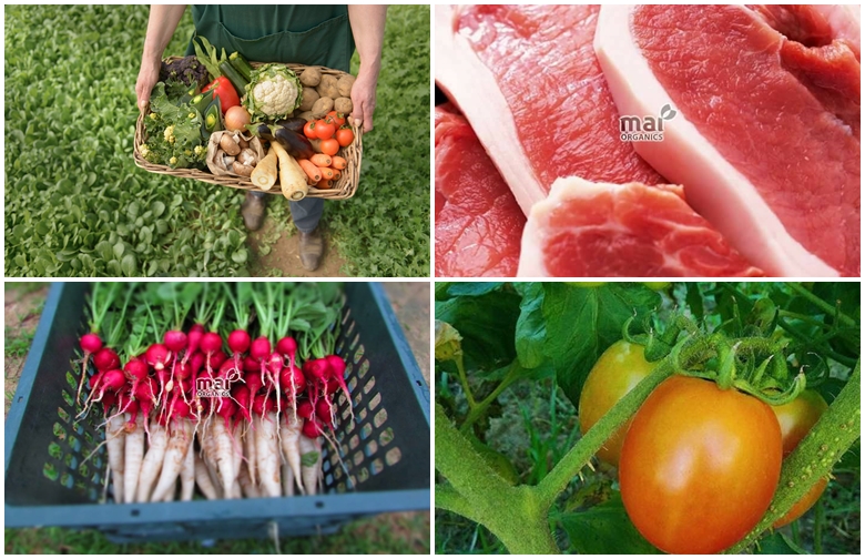 top 10 cua hang thuc pham sach o hue ma chi em nen luu lai 6138 3